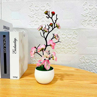 Eternal Blossom Bonsai – Decorative Plum Flower Tree